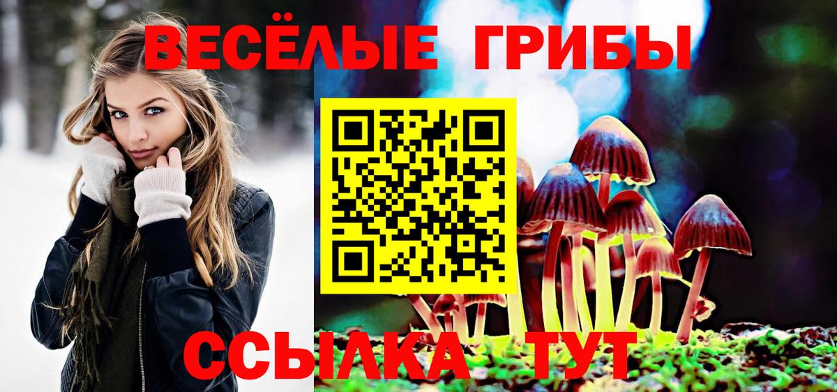 Выборг  Галлюциногенные грибы GOLDEN TEACHER  Псилоцибиновые грибы мицелий  Вход с VPN 